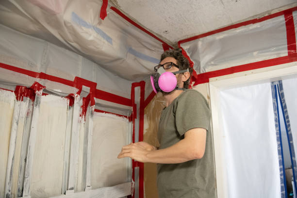 Professional Mold Inspection, Removal & Remediation in Hinton, OK